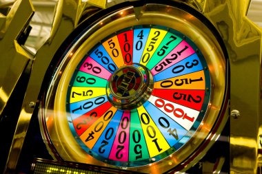 Shio Table betting interface showing bet selection and countdown timer